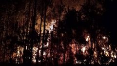 Imagen del incendio en Narah�o