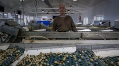 Santiago Cruz, patrn mayor de Noia