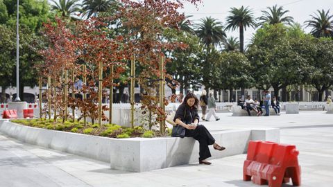 Plantaci�n de las primeras cuatro hayas rojas en el entorno inmediato del Obelisco