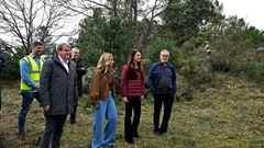 Visita de la conselleira de Medio Rural a una de las franjas en las que se act�a en San CIbrao das Vi�as