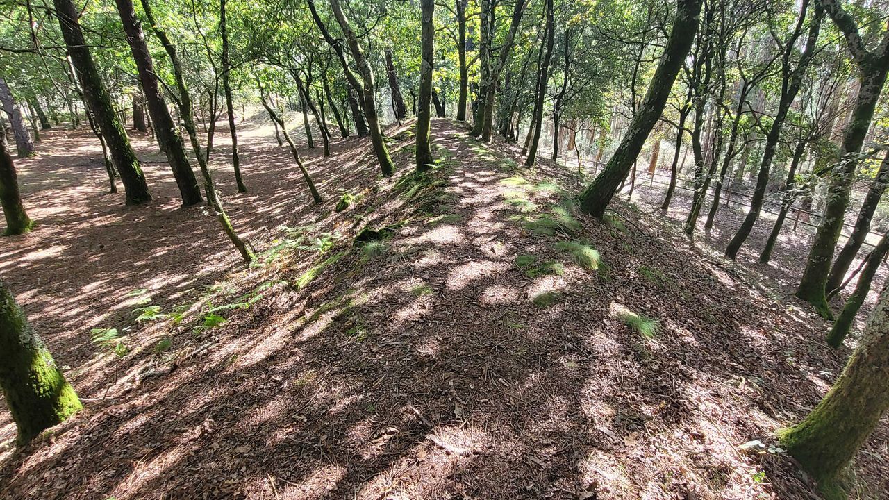 Guía práctica para mimar un castro como hace Arzúa con el de Curbín