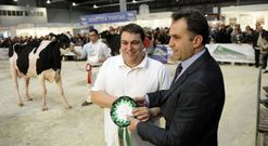 La ganader�a lalinense Blanco fue  subcampeona internacional al mejor criador y campe�n gallego. 