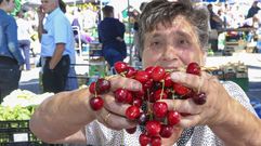 Jornada dulce en Paiosaco: �recorre su Feira das Cereixas!