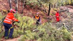 Protecci�n Civil de Barbad�s, realizando labores de mantenimiento.