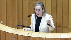 Ethel V�zquez, en una intervenci�n en el Parlamento.