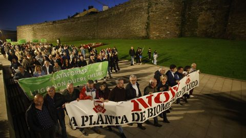 Manifestacin en Lugo contra la planta de Coeses