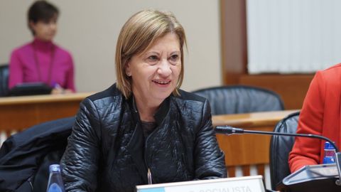 Elena Espinosa, este s�bado en el Parlamento de Galicia.