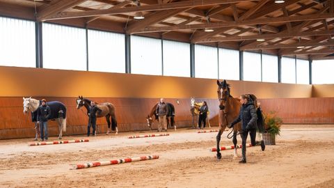 Los participantes realizaron en el día de ayer la correspondiente inspección veterinaria. oxer sport