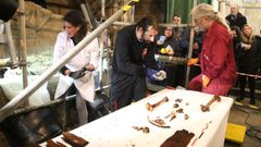 Restos extra&iacute;dos del sarc&oacute;fago de Xoh&aacute;n Mari&ntilde;o de Soutomaior en la iglesia de San Marti&ntilde;o de Sobr&aacute;n en el 2022.