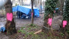 Los �rboles que estaban marcados para que los talaran fueron decorados con corazones rosas