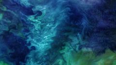 Explosi�n de fitoplancton vista desde el espacio