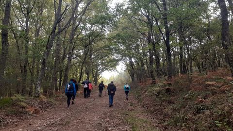 Participantes en la primera actividad del programa tur�stico, que se desarroll� en el municipio de Taboada