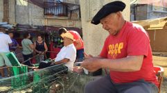El Mercado das Rutas do Mar de Mux�a, en im�genes