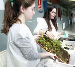 Otro experimento hablaba sobre los suelos quemados. 