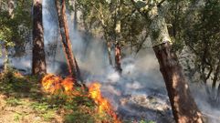 Incendio de Sober