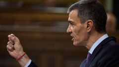 Sanchez, en el pleno extraordinario del pasado 9 de julio.