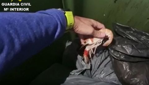 Incautan en el puerto de A Coru�a 89,5 kilogramos de cigalas presuntamente capturadas en una zona prohibida