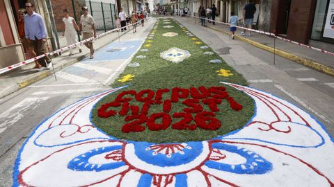 Alfombras flores de Ares