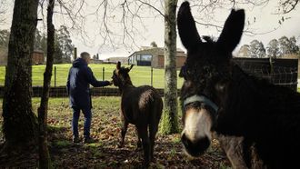 emilio.Emilio rehabilit&oacute; la casa de sus bisabuelos, del siglo XIX, en Abegondo