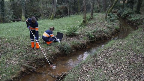 Foto de archivo de controles de calidad del agua en regatos del entorno de la mina de Touro-O Pino