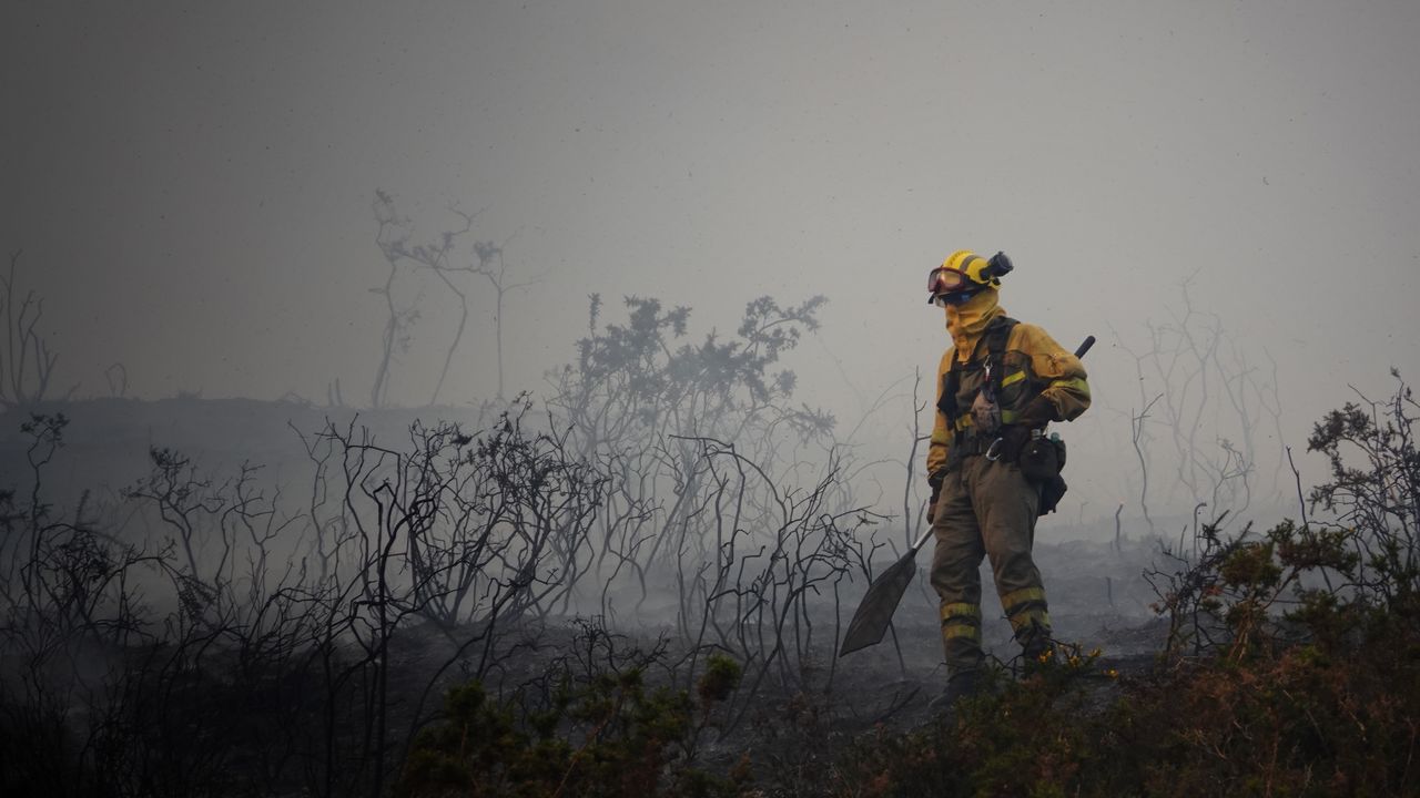 Asturias registra 12 incendios forestales, la mitad de ellos activos