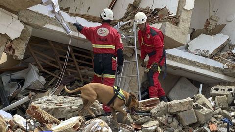 Fotograf�a del d�a 1 de julio de la perra de la Unidad Canina de los bomberos del Ayuntamiento de Alicante, Nala.