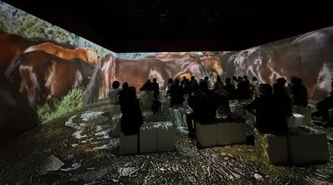 La pieza ofrece una proyección envolvente que traslada al espectador a la Rapa das Bestas sin salir de la sala inmersiva