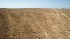 Campos secos en el municipio de Castro de Rei