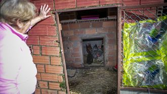 Amparo tiene a sus gallinas confinadas en el corral y con un plástico cubriendo las rejas
