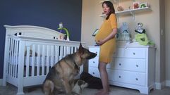 El time lapse de un embarazo �