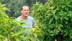 Javier C�vicos, en la plantaci�n de Cabranes