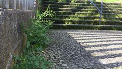 Hierbajos. El crecimiento de la hierba se observa en distintos lugares. En la foto, las escaleras que bajan desde el instituto al paseo de los Puentes.