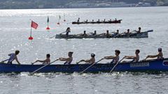 Imagen de archivo de una regata de trainerillas.