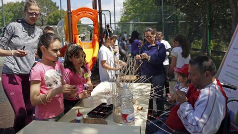 Romara das Letras no colexio de Escarabote