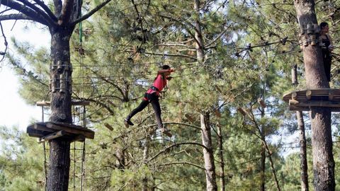 Tree circuits in Marn Municipal Ecopark.