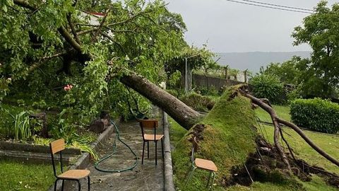 Daos causados por la tormenta en el entorno de un colegio de Maceda.