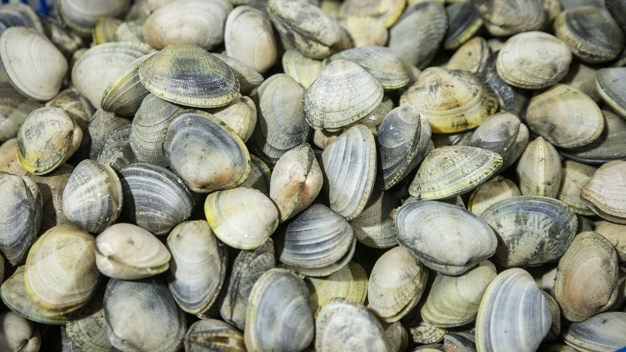 Identificadas nueve personas y tramitadas trece actas por furtivismo en playas de Boiro