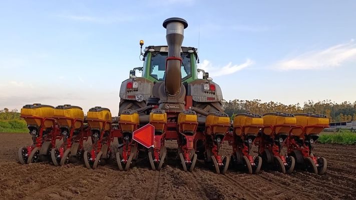 Sementadora de ma�z en Mazaricos