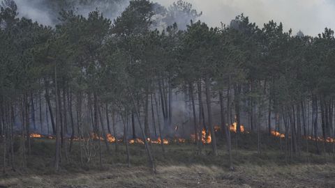 Llamas del incendio registrado en Luarca
