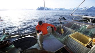Pesca de bacalao en las costas de Noruega.