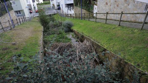 La maleza y la suciedad tom� el cauce del r�o.