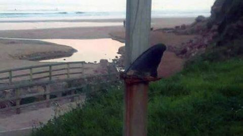 La aleta de un cet�ceo colgada de un pilar cerca de la playa de Xivares.La aleta de un cet�ceo colgada de un pilar cerca de la playa de Xivares