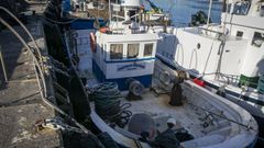 Barco Panchito Segundo de Portos�n, que ser� dado de baja