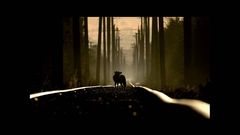 Unha das imaxes includas na exposicin Fotgrafos da natureza. Wildlife 2012.