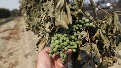 El incendio se declar� a las cinco de la tarde del viernes