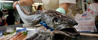 Los pescaderos consultados coinciden en que este es un buen momento para comprar merluza fresca.