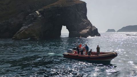 Medio Rural recoge muestras de una decena de pollos de gaviota muertos en la isla Herbosa, en el entorno de cabo Pe�as