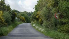 En algunas carreteras, como esta en Ourense, la vegetaci�n impide ver las se�ales 