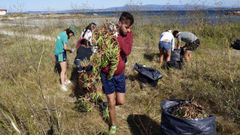 J�venes de un campo de trabajo arrancan u�a de gato en O Grove