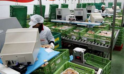 La producci�n av�cola de Coren super� los 100 millones de kilos durante el 2012.